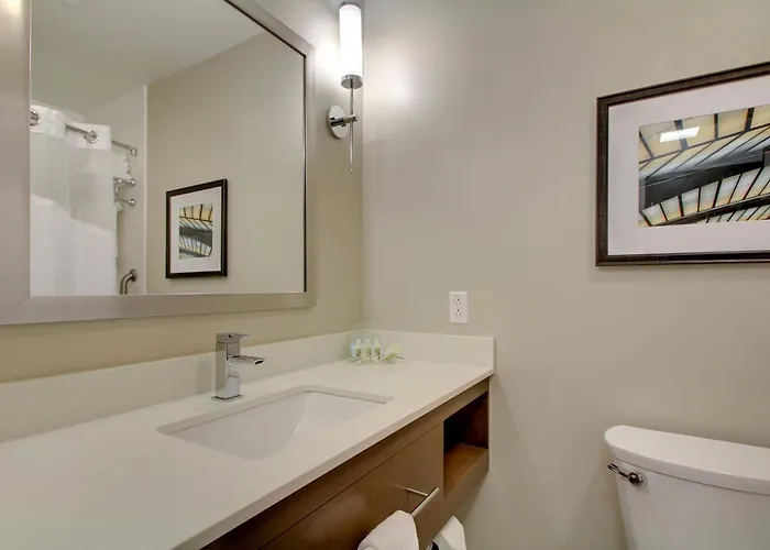 Hotel & At Grand Prairie By Ihg 3*